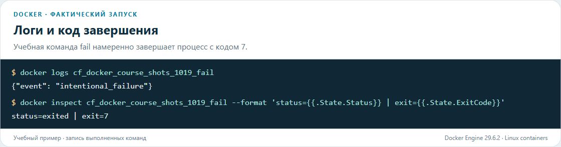 Снимок реального запуска Docker: Логи и код завершения